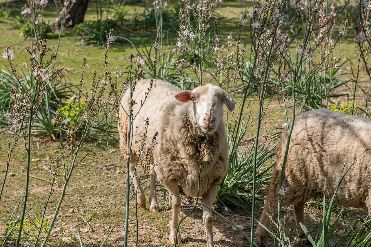 Vila Finca Ca Na Barons Bunyola